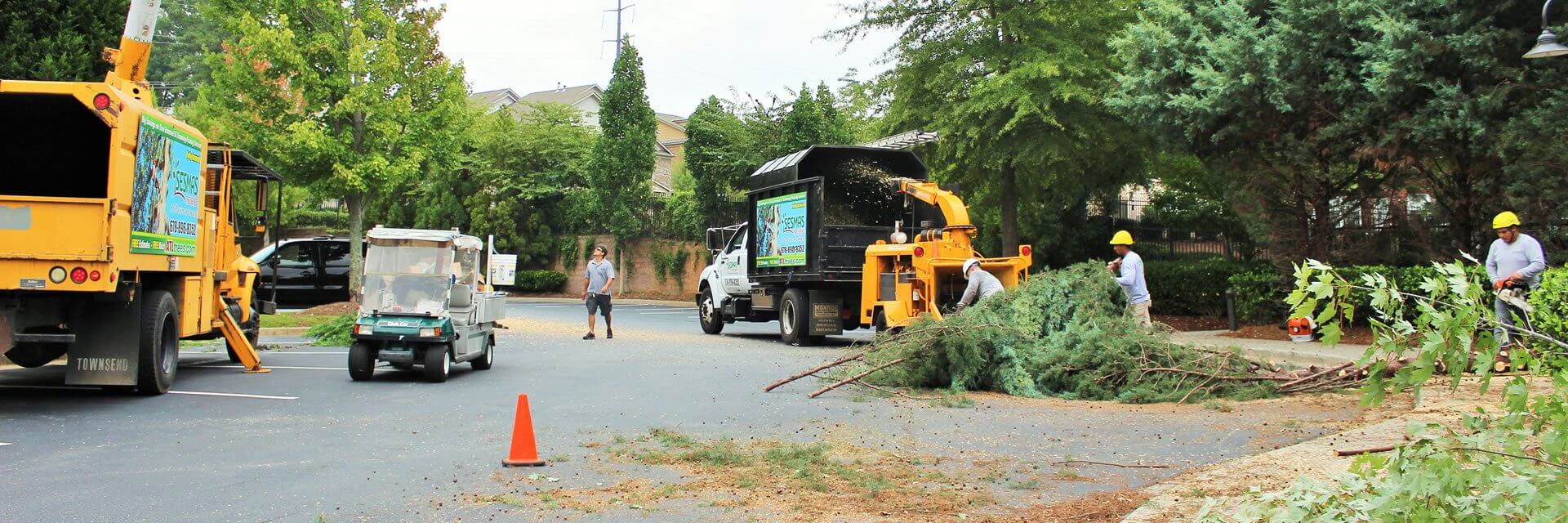 Commercial Tree Services-West Palm Beach Tree Trimming and Tree Removal Services-We Offer Tree Trimming Services, Tree Removal, Tree Pruning, Tree Cutting, Residential and Commercial Tree Trimming Services, Storm Damage, Emergency Tree Removal, Land Clearing, Tree Companies, Tree Care Service, Stump Grinding, and we're the Best Tree Trimming Company Near You Guaranteed!