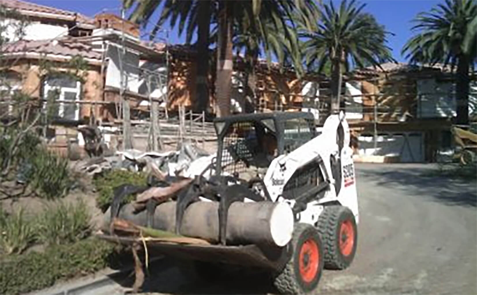 Palm Tree Removal-West Palm Beach Tree Trimming and Tree Removal Services-We Offer Tree Trimming Services, Tree Removal, Tree Pruning, Tree Cutting, Residential and Commercial Tree Trimming Services, Storm Damage, Emergency Tree Removal, Land Clearing, Tree Companies, Tree Care Service, Stump Grinding, and we're the Best Tree Trimming Company Near You Guaranteed!