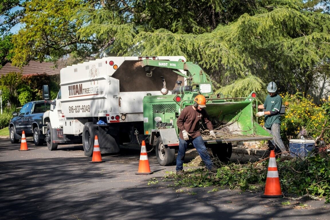 Residential Tree Services-West Palm Beach Tree Trimming and Tree Removal Services-We Offer Tree Trimming Services, Tree Removal, Tree Pruning, Tree Cutting, Residential and Commercial Tree Trimming Services, Storm Damage, Emergency Tree Removal, Land Clearing, Tree Companies, Tree Care Service, Stump Grinding, and we're the Best Tree Trimming Company Near You Guaranteed!