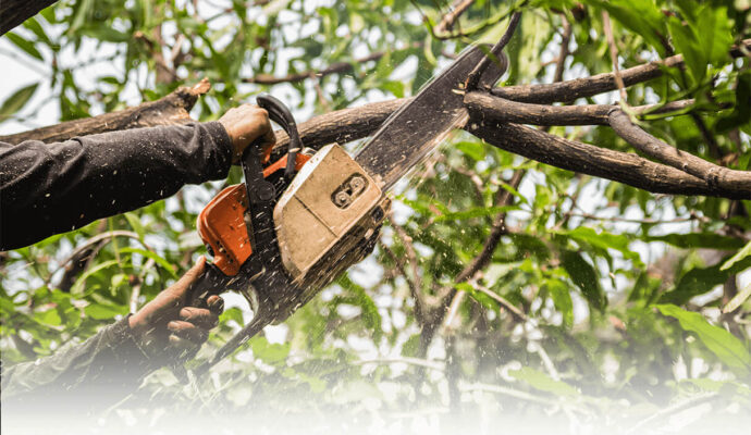 Tree Trimming Services-West Palm Beach Tree Trimming and Tree Removal Services-We Offer Tree Trimming Services, Tree Removal, Tree Pruning, Tree Cutting, Residential and Commercial Tree Trimming Services, Storm Damage, Emergency Tree Removal, Land Clearing, Tree Companies, Tree Care Service, Stump Grinding, and we're the Best Tree Trimming Company Near You Guaranteed!