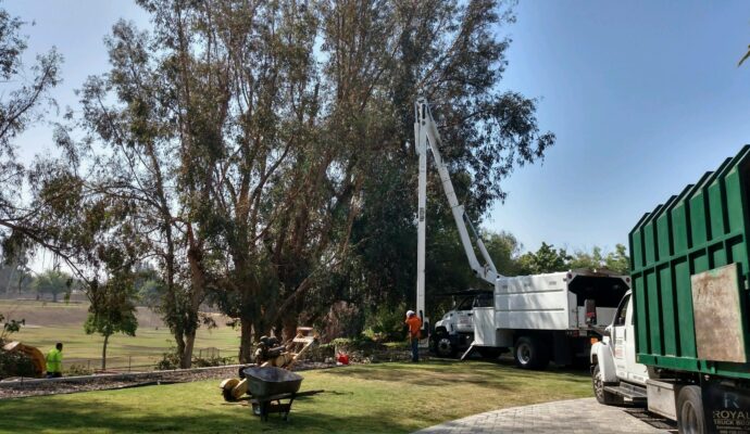 Commercial Tree Services West Palm Beach-Pro Tree Trimming & Removal Team of West Palm Beach