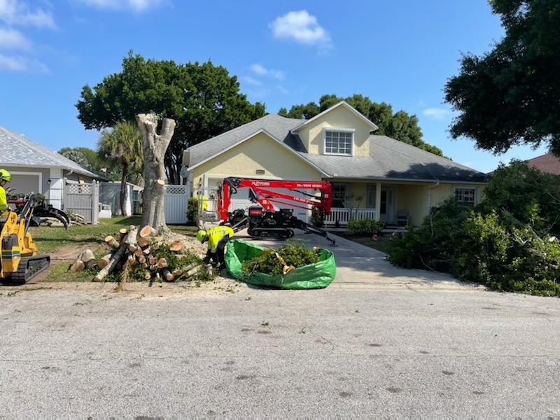 Residential Tree Services West Palm Beach-Pro Tree Trimming & Removal Team of West Palm Beach