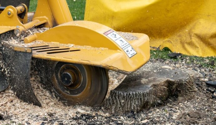 Stump Grinding & Removal West Palm Beach-Pro Tree Trimming & Removal Team of West Palm Beach