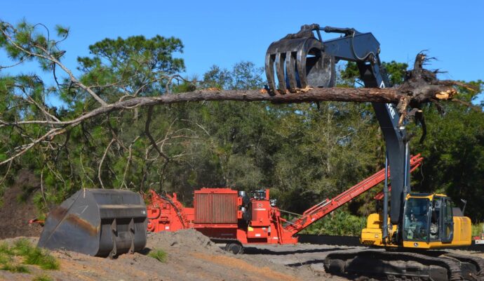 West Palm Beach Land Clearing-Pro Tree Trimming & Removal Team of West Palm Beach