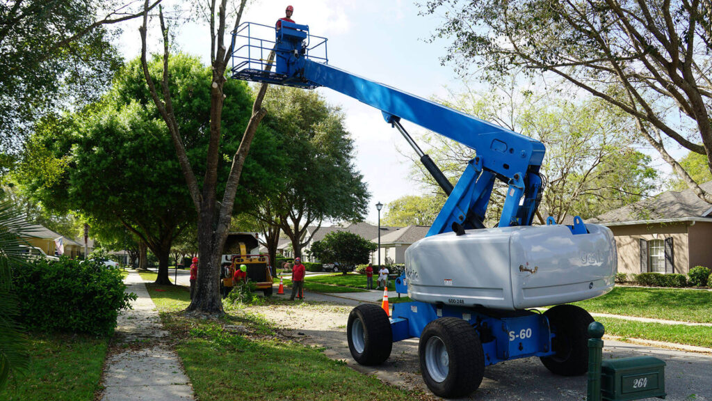 West Palm Beach Residential Tree Services-Pro Tree Trimming & Removal Team of West Palm Beach