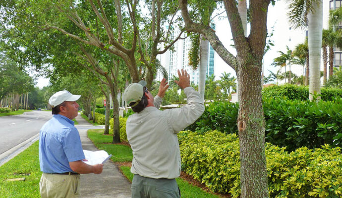 Arborist Consultations-Pros-Pro Tree Trimming & Removal Team of West Palm Beach