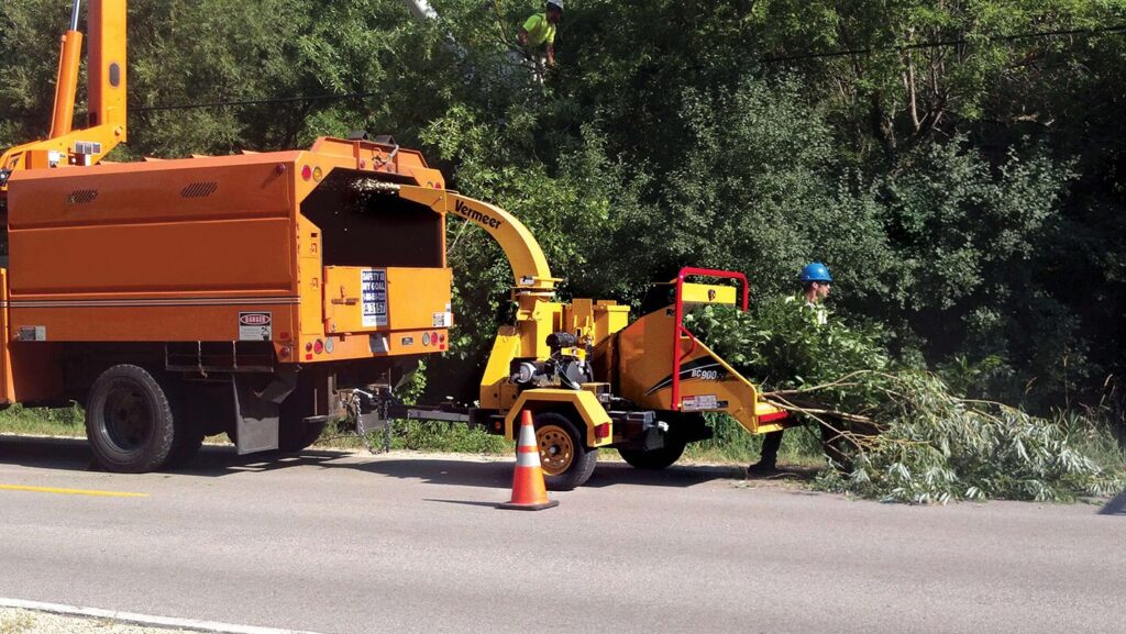 Commercial Tree Services-Experts-Pro Tree Trimming & Removal Team of West Palm Beach