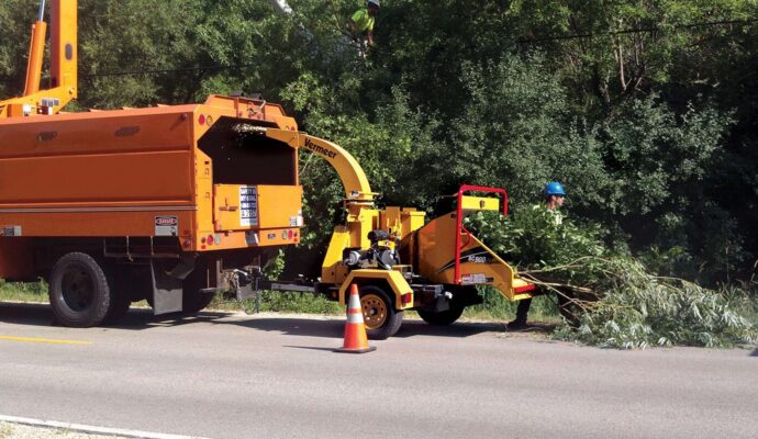 Commercial Tree Services-Experts-Pro Tree Trimming & Removal Team of West Palm Beach