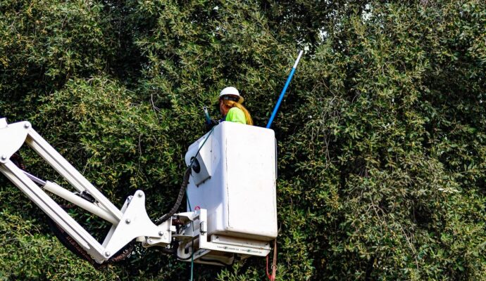 Commercial-Tree-Services-Services Pro-Tree-Trimming-Removal-Team-of- West Palm Beach