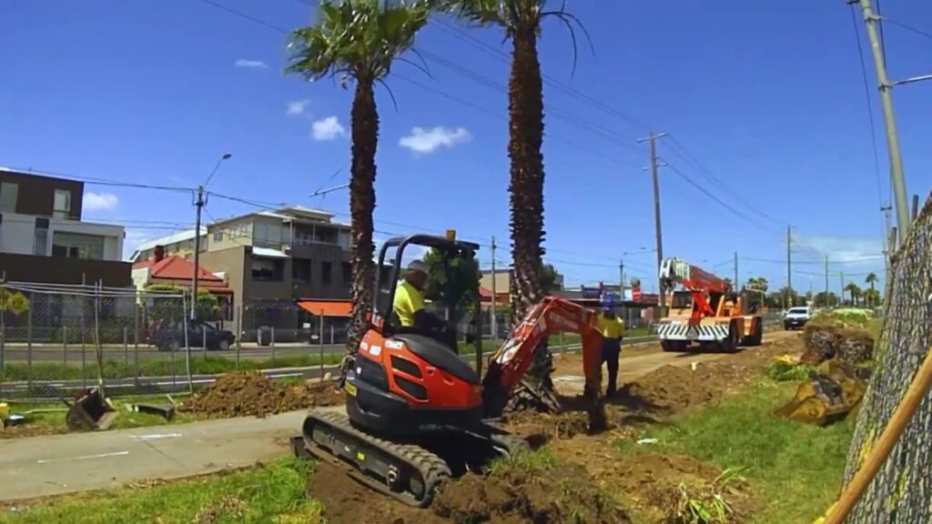 Palm Tree Removal-Experts-Pro Tree Trimming & Removal Team of West Palm Beach