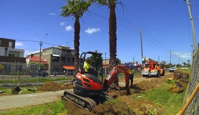 Palm Tree Removal-Pros-Pro Tree Trimming & Removal Team of West Palm Beach