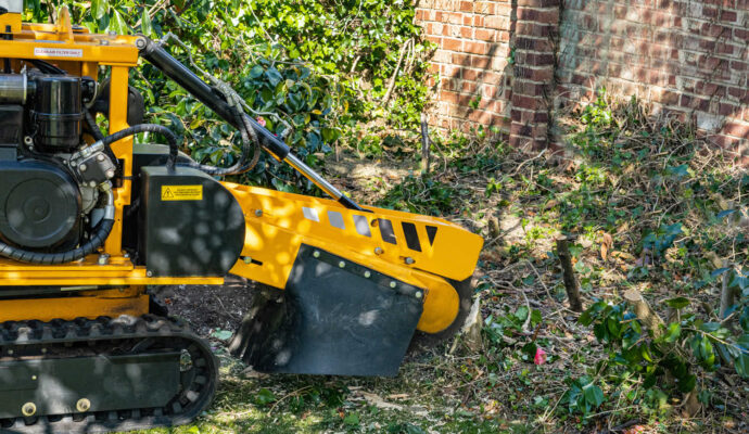 Stump Grinding-Experts-Pro Tree Trimming & Removal Team of West Palm Beach