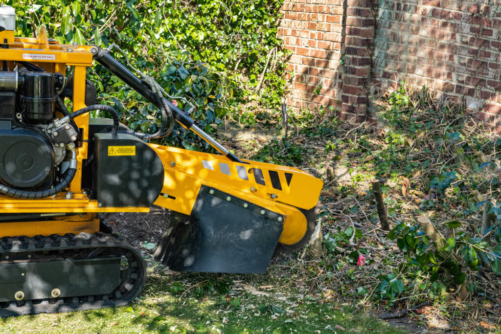 Stump Grinding-Pros-Pro Tree Trimming & Removal Team of West Palm Beach