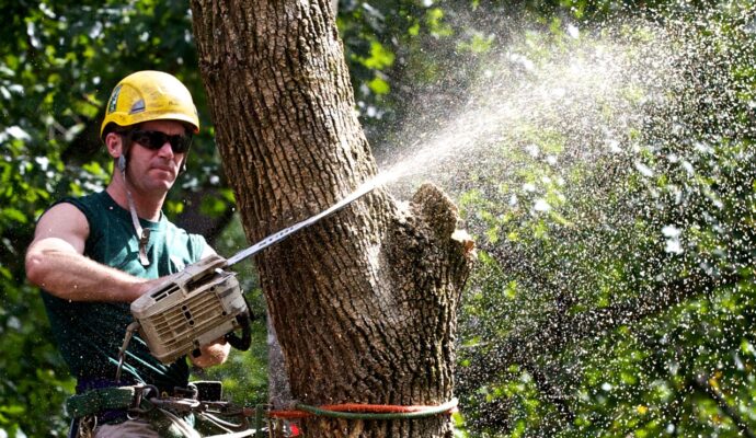 Tree Trimming-Experts-Pro Tree Trimming & Removal Team of West Palm Beach